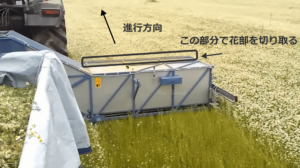 B202305132