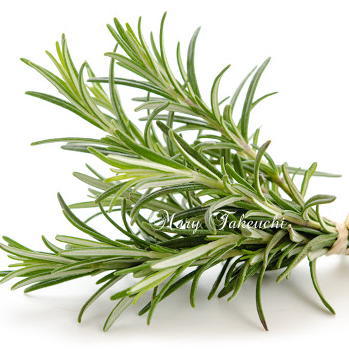 Rosemary